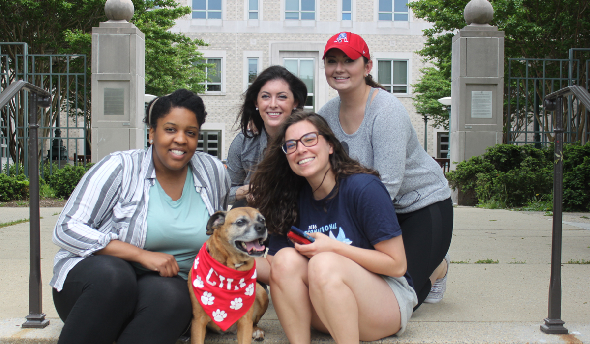 Law students at the bi-annual dog therapy day