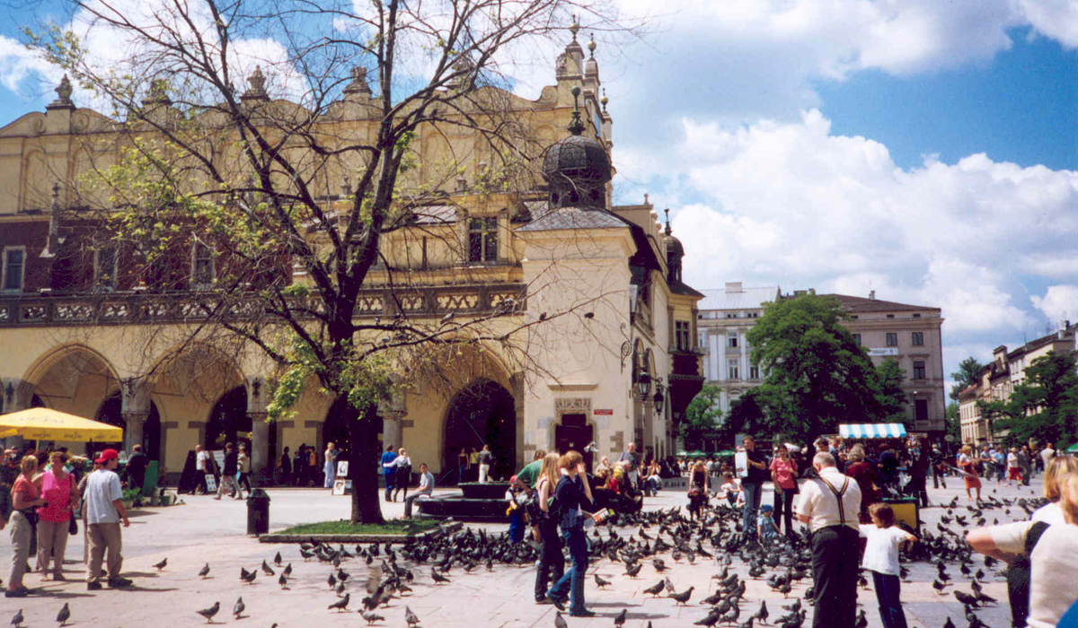scenic photo of town square with birds and people